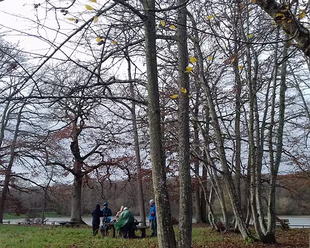 019 près de la maison forestière