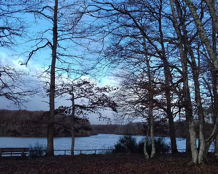 020 Depuis 2006, l’étang de la Tour fait partie de la zone Natura 2000 « Massif de Rambouillet et zones humides proches »