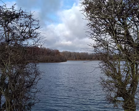 025 L’étang de la Tour vu de la digue