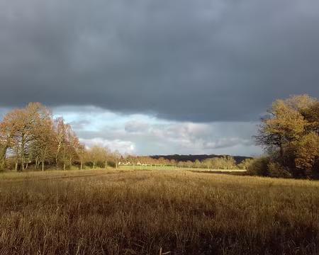 032 Retour vers Rambouillet