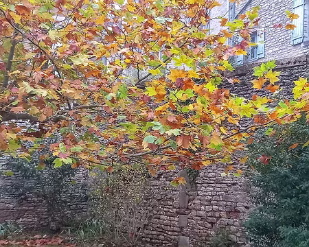 10 Le jardin du gîte au matin du 6 novembre 21