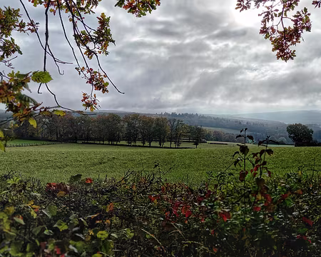 20 La brume se lève