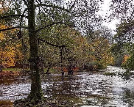 22 La Cure à Pierre-Perthuis