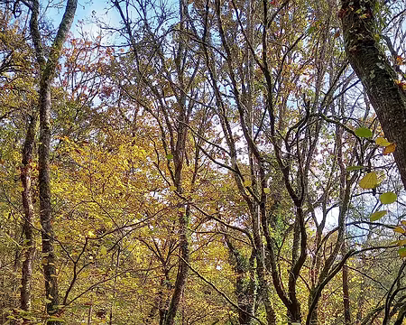 24 Le long de la Cure