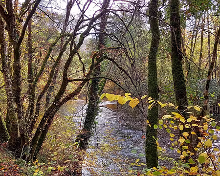 25 Le long de la Cure