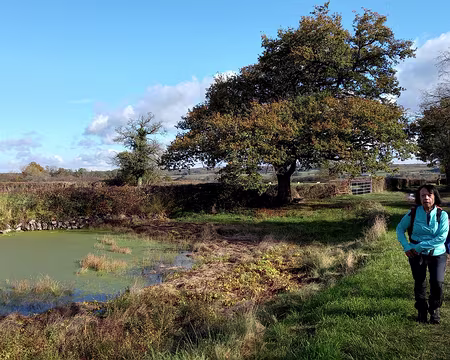 35 Chantal près d'un beau chêne et d'une mare labellisée accueillant une belle population de tritons crêtés.
