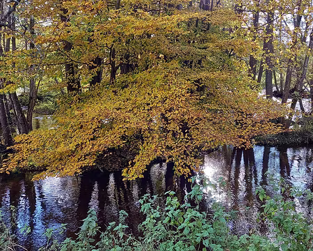 42 La Cure à Saint-Père