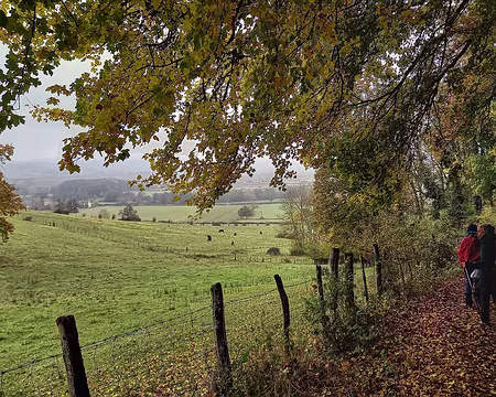 61 On descend vers la vallée du Cousin