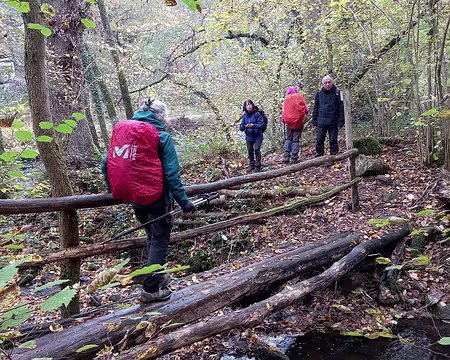 63 Dans la vallée du Cousin