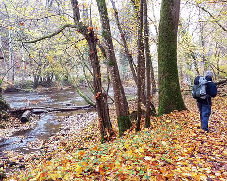 64 Le long du Cousin