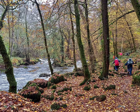 65 Le long du Cousin