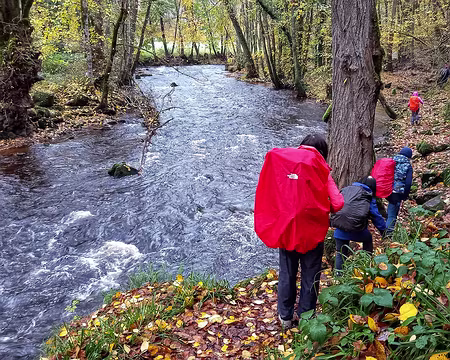 66 Le long du Cousin