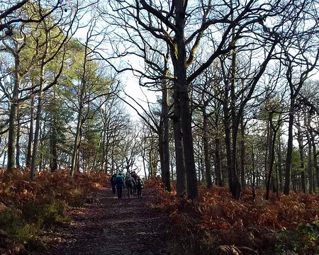 001 Une boucle de 20 km dans la forêt de Fontainebleau au départ de Bois-le-Roi