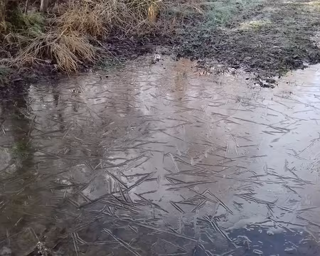 008 Flaque d’eau gelée