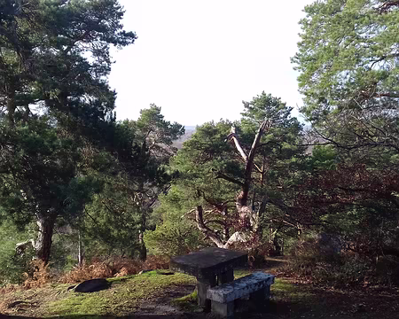 020 Plus récemment, ce lieu a été aménagé par l’ONF