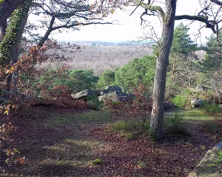 022 Vue sur le village de Chailly-en-Bière situé à la lisière de la forêt de Fontainebleau