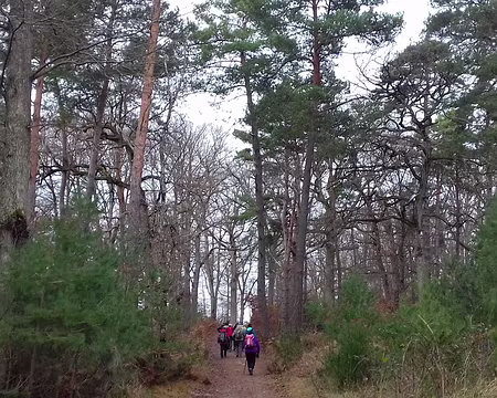 038 Sur la Route des Ventes Bouchard