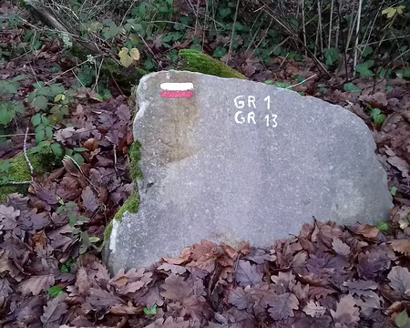 040 Merci Annie pour cette belle randonnée en forêt de Fontainebleau