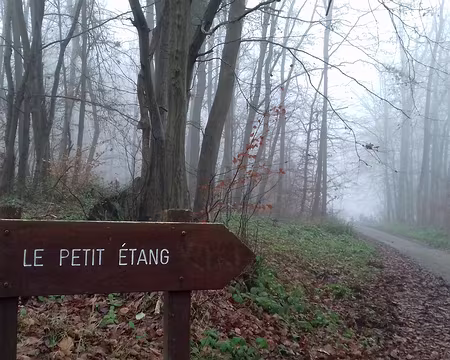 019 Direction le Petit Etang