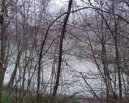 026 Retour au Lac bleu, de teinte vert jade