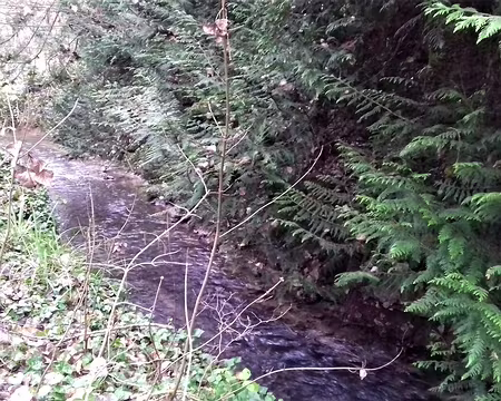 036 Le ru de Presles