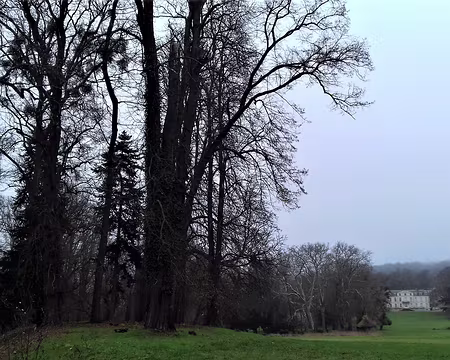 037 Le château de Courcelles (1709), de style néoclassique, et son parc arboré