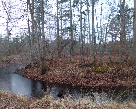 P1140552 Mare aux cerfs