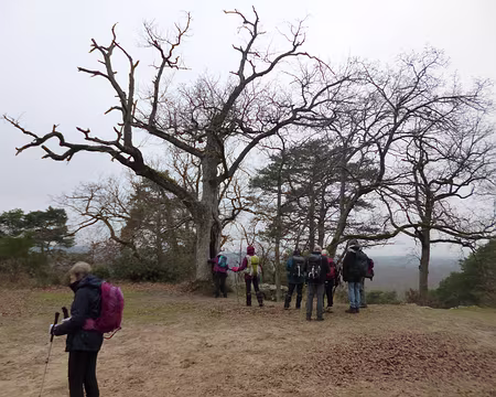 P1140555 Point de vue du camp de Chailly