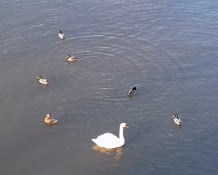 011 La nature à Paris