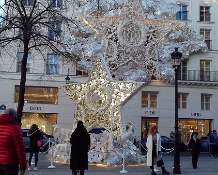 043 Les étoiles de Noël, façon Dior