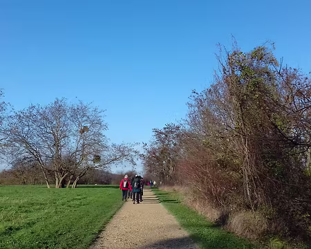 011 C’est l’Agence des Espaces Verts (AEV) d’Île de France qui a aménagé ces espaces naturels