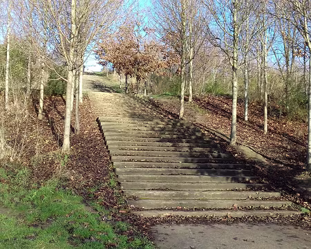 013 Les escaliers de la Butte des Châtaigniers (360 marches)