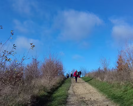 015 Montée vers le sommet de la butte sur laquelle étaient autrefois cultivées les asperges …