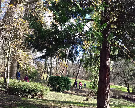 031 Le parc départemental Schlumberger à Cormeilles (7 ha)