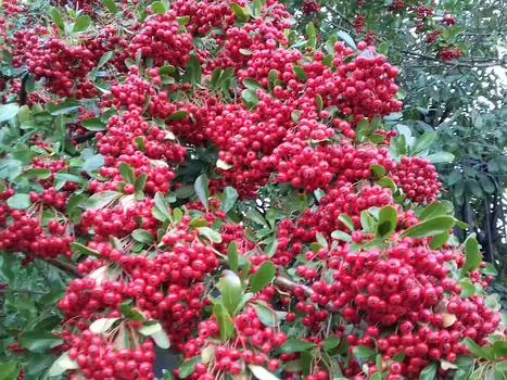 2021-12 Plaine de Sorques