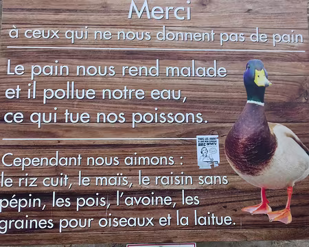 012 Pas de pain pour les canards