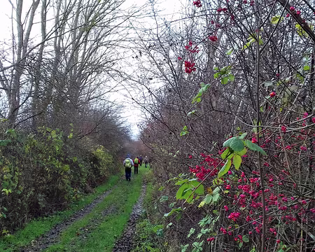 021 Sur le chemin (GR 13)