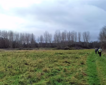 022 Au loin, derrière les peupliers, le clocher de l’église d’Ecuelles