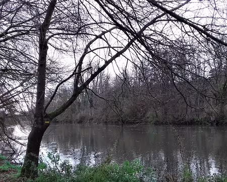 030 Elle est limitée au sud par le Loing, affluent en rive gauche de la Seine