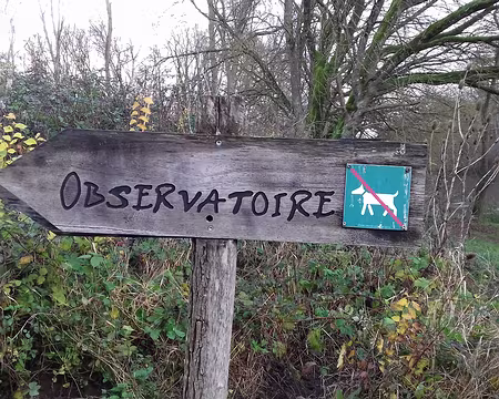 031 Deux observatoires ornithologiques ont été construits dans la Plaine de Sorques