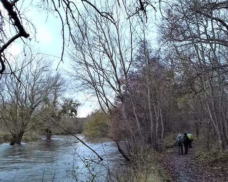 035 Sentier au bord du Loing