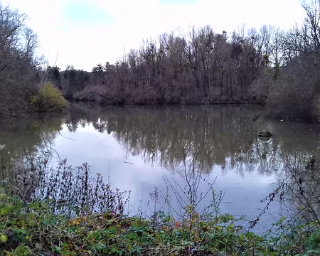 036 L’un des nombreux étangs