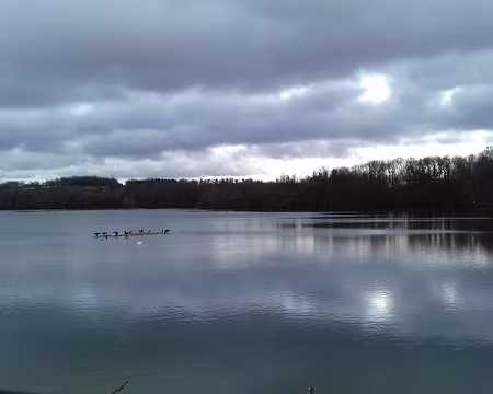 038 Nombreuses espèces d’oiseaux : cormorans, hérons, cygnes, aigrettes, grèbes, …
