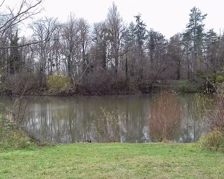 039 Dernier étang avant la forêt