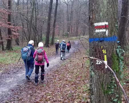 003 Le Bois du Cerf-volant