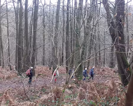014 Chemin forestier dans le Bois de la Porte neuve