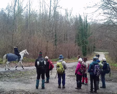 017 Arrêt sur image