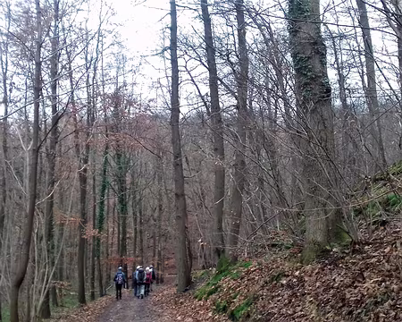 020 Descente vers les étangs de la Minière dans la vallée de la Bièvre