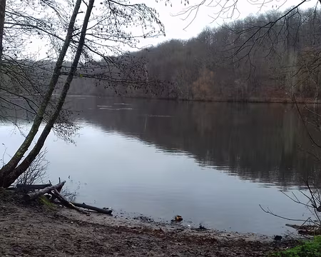 029 L’Etang du Moulin à Renard …