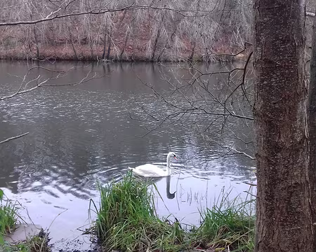 030 a été créé par Colbert pour alimenter le Parc de Versailles